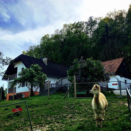 Cria Valley Alpacas Villa Riegersburg Eksteriør billede